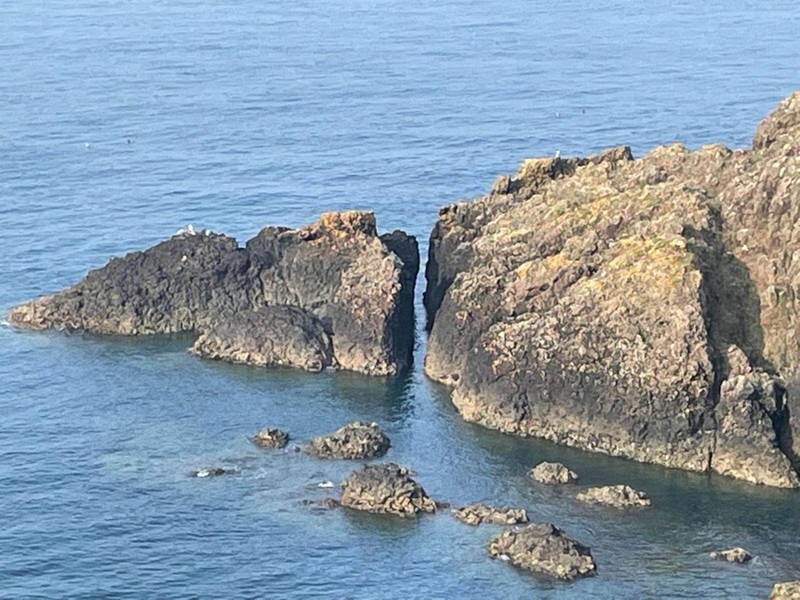Trefechan Wen Barn Llanwnda  Kültér fotó