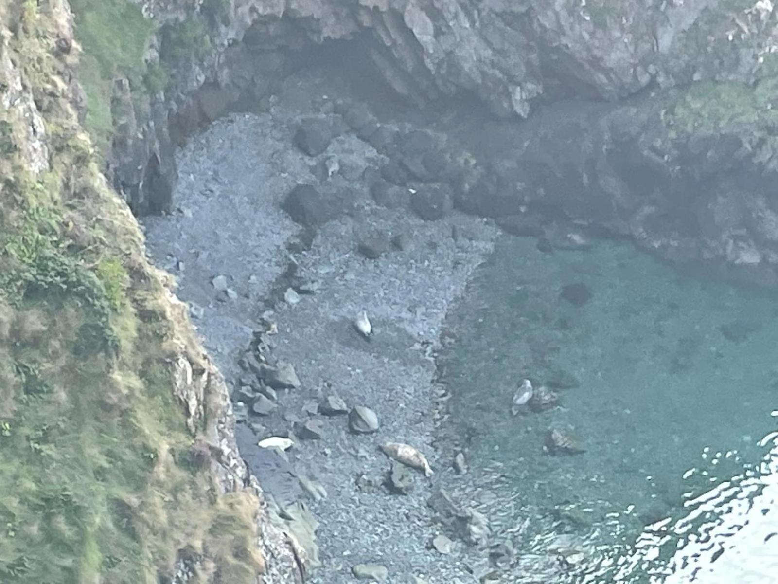 Trefechan Wen Barn Llanwnda  Kültér fotó