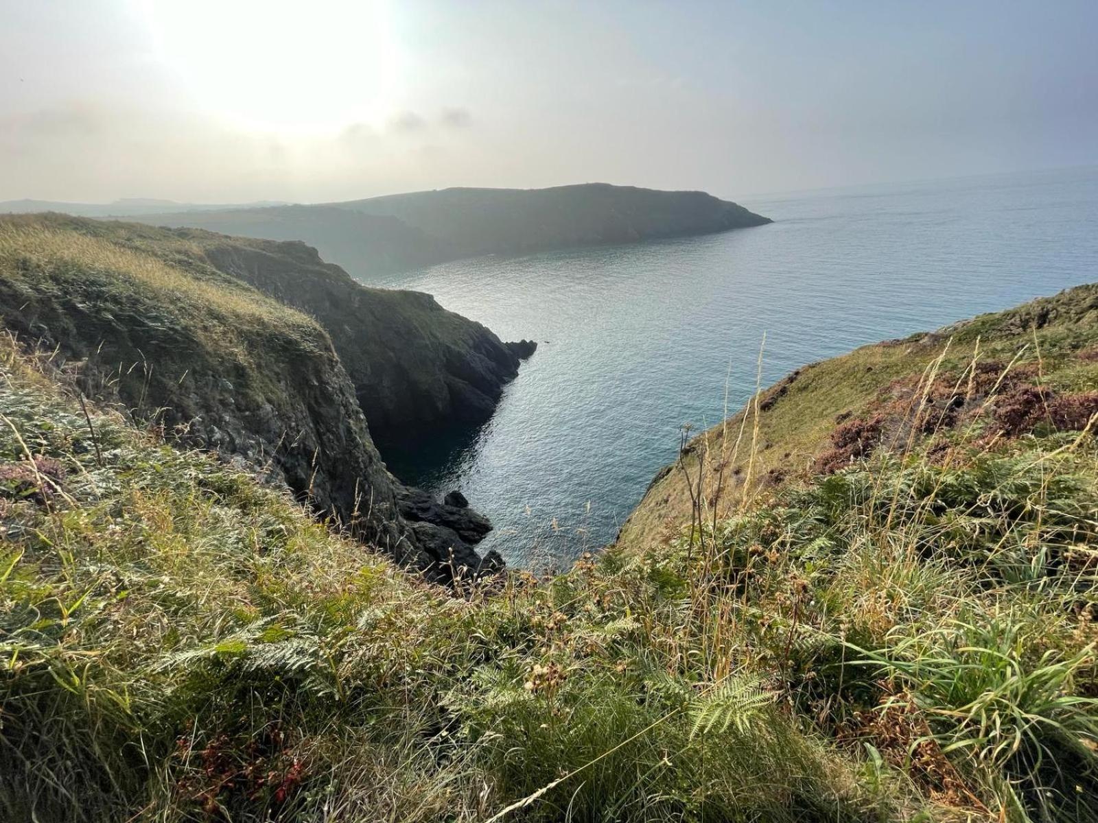 Trefechan Wen Barn Llanwnda  Kültér fotó